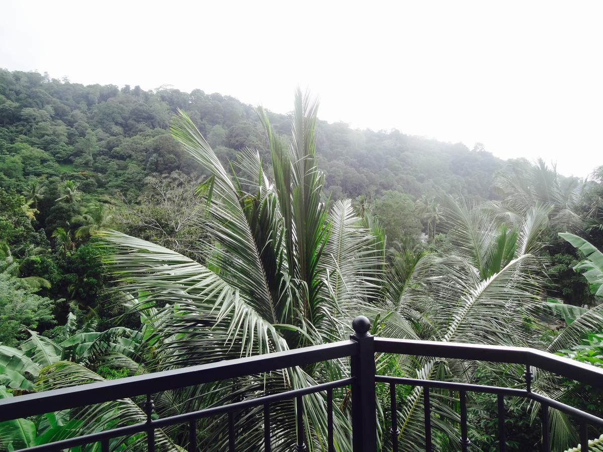 Slightly Chilled Forest Villa Sirimalwatta Экстерьер фото